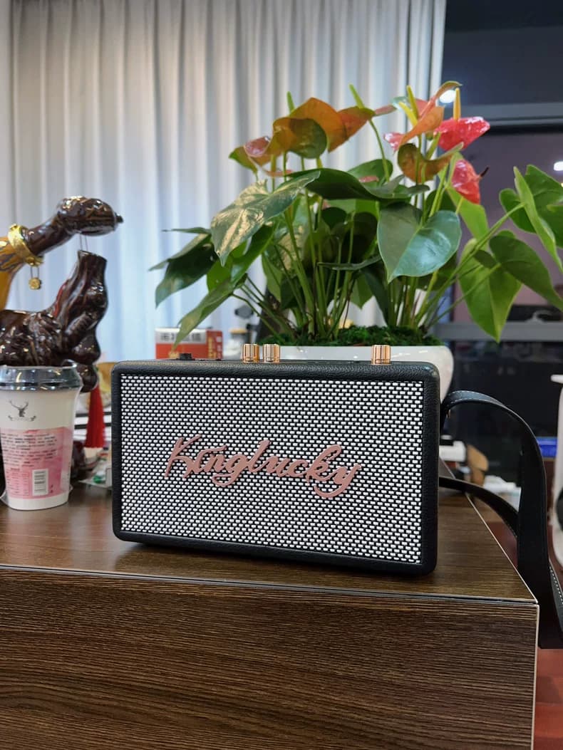 Karaoke Machine